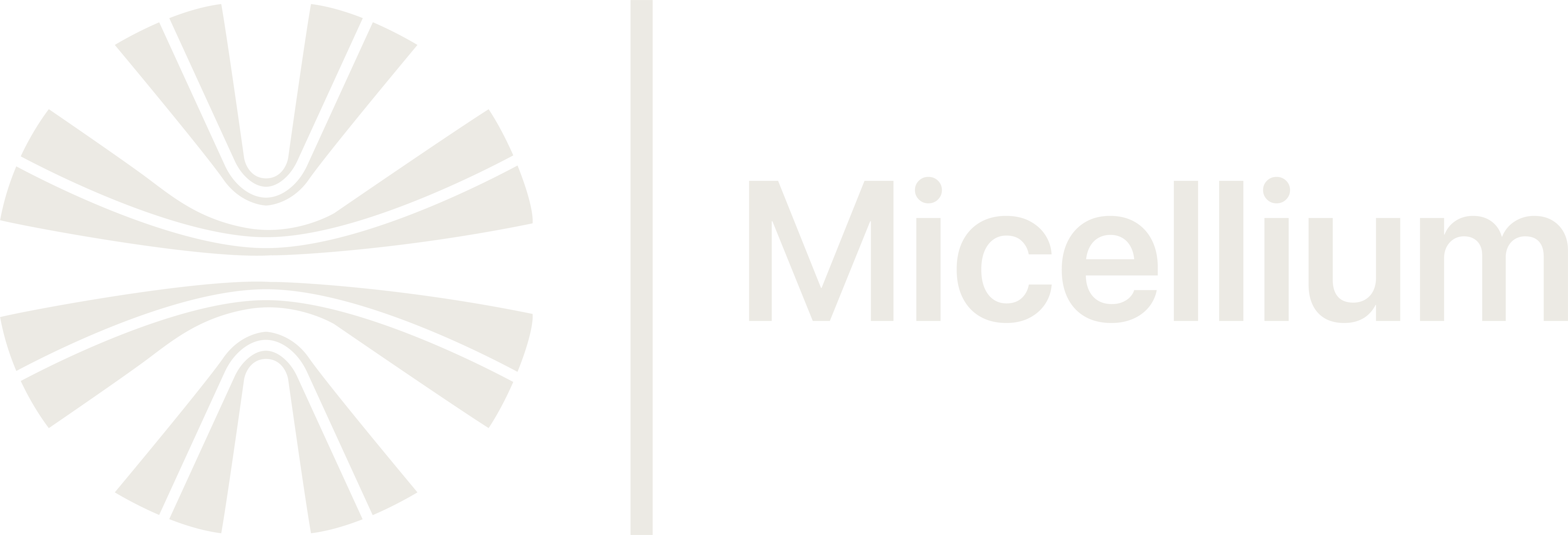 light logo